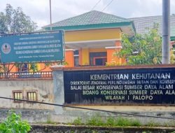 Soal Kasus Perambahan KCA, Robi Beberkan Dokumen Legalitas Dihadapan Gakkum