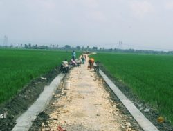 UU Desa Disahkan, DPD: Pemdes Lebih Progresif Bangun Desa