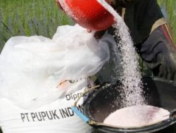 Pusing dengan Aturan, Toko Mitra Tani Ingin Berhenti Jadi Penyalur Pupuk Subsidi