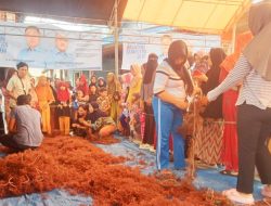 Ratusan Peserta Ikuti Lomba Ikat Rumput Laut Beriman di Desa Tampinna