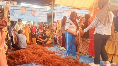 Ratusan Peserta Ikuti Lomba Ikat Rumput Laut Beriman di Desa Tampinna