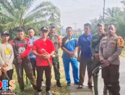 Camat Angkona: GoDes Bentuk Inovasi Budayakan Semangat Gotong Royong
