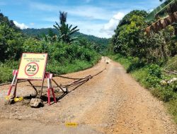 Tutup Jalan Menuju PLTA Larona, FKPB: Perbuatan RH Diduga Tak Dilarang dan Tidak Dilaporkan