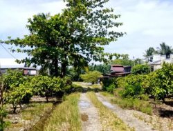 Dua Dusun di Lutim Butuh Tiang-Kabel Listrik, DPRD: Tugas Kami Kawal Aspirasi Masyarakat