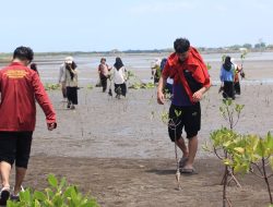 IMM FK Unismuh Tanam Seribu Pohon Mangrove