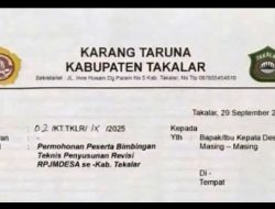 Karang Taruna di Takalar Bakal Gelar Bimtek Diduga Gunakan DD, Inspektorat-DPMD Diminta Periksa Menyeluruh