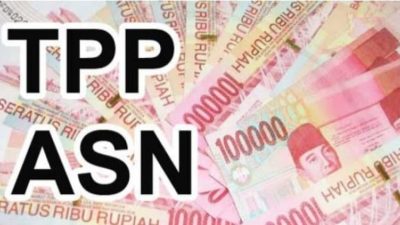 ASN Takalar Boleh Tersenyum Lebar, TPP 2 Bulan Segera Cair