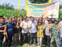 Lukman B Kady Hadir di Panen Raya Takalar: Realisasi Janji, Sinergi Kuatkan Ketahanan Pangan