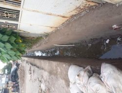 Kualitas Proyek Paket 19 Gowa Diragukan, PERAK: Tanpa Pengawasan, Risiko Kerusakan Tinggi