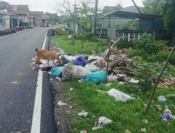 Tanggapan Camat Mapsu soal Pemindahan Fasilitas Sampah: Warga vs Kepentingan SPPG