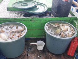 Polda Sulsel Ringkus Pemburu Penyu di Takalar, Ratusan Kilogram Daging Disita