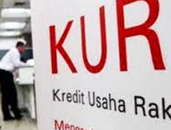 AMJI-RI Ingatkan Perbankan: Patuhi Aturan Tanpa Agunan KUR 2026 atau Hadapi Sanksi Pengurangan Subsidi