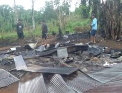 PT Kijang Jantan Desak Polisi Usut Tuntas Dugaan Pembakaran Lahan dan Premanisme di Wajo