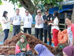 Takalar Menuju Pasar Global: Rumput Laut Desa Punaga Dilirik Investor Tiongkok