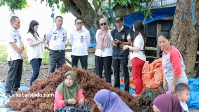 Takalar Menuju Pasar Global: Rumput Laut Desa Punaga Dilirik Investor Tiongkok