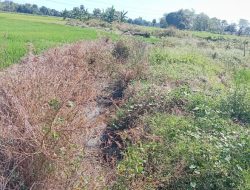 Saluran Digali Lalu Ditinggal, Proyek Irigasi Miliaran di Pamukkulu Takalar Mangkrak