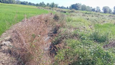 Saluran Digali Lalu Ditinggal, Proyek Irigasi Miliaran di Pamukkulu Takalar Mangkrak