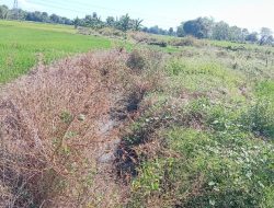 Warga Polongbangkeng Selatan Pertanyakan Kelanjutan Proyek Irigasi Puluhan Miliar yang Terbengkalai