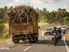 Soroti Truk Tebu Melebihi Kapasitas, Warga Takalar Minta Polisi dan Dishub Tindak Tegas