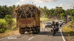 Soroti Truk Tebu Melebihi Kapasitas, Warga Takalar Minta Polisi dan Dishub Tindak Tegas