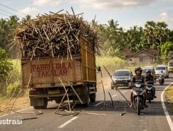 Soroti Truk Tebu Melebihi Kapasitas, Warga Takalar Minta Polisi dan Dishub Tindak Tegas