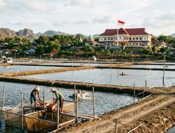 Aset Tambak Pemkab Takalar Dikuasai Oknum, Surat Peringatan Ketiga Segera Dikirim